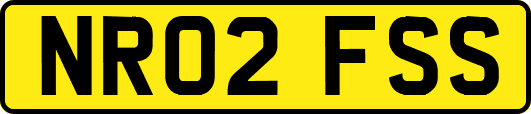NR02FSS