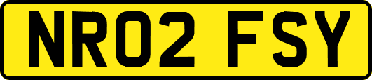 NR02FSY