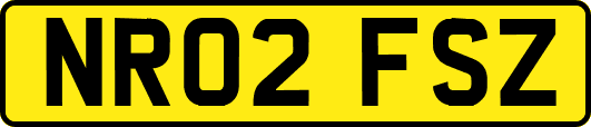 NR02FSZ