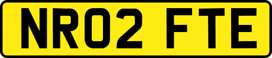 NR02FTE