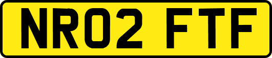 NR02FTF