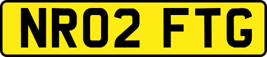 NR02FTG