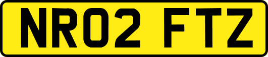 NR02FTZ