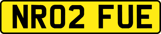 NR02FUE