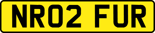NR02FUR