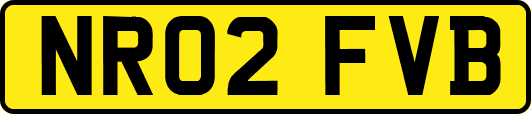 NR02FVB