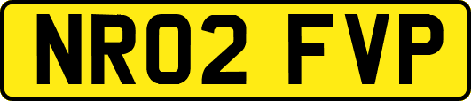 NR02FVP