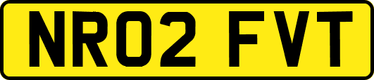 NR02FVT