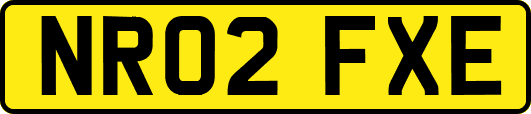 NR02FXE