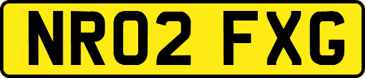 NR02FXG