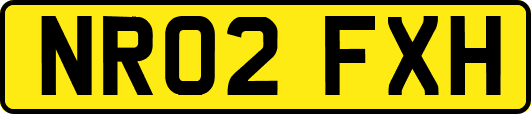NR02FXH