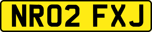 NR02FXJ