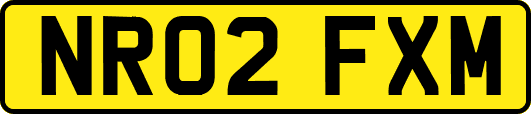 NR02FXM