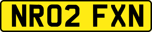 NR02FXN