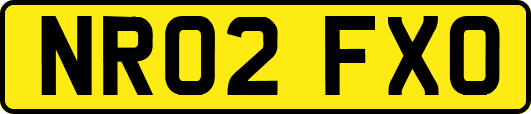 NR02FXO