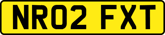 NR02FXT