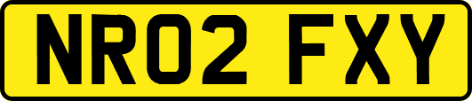 NR02FXY