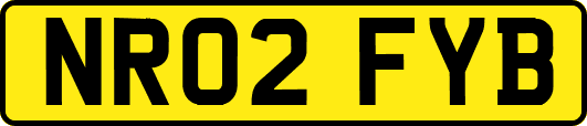 NR02FYB