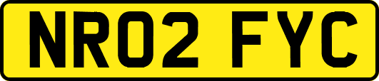 NR02FYC
