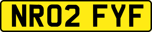 NR02FYF