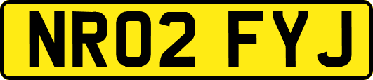 NR02FYJ