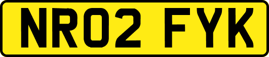 NR02FYK