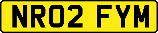 NR02FYM