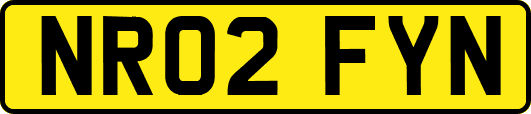 NR02FYN