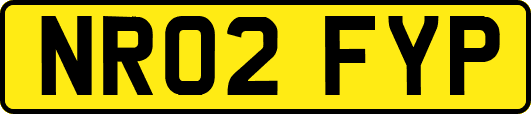 NR02FYP