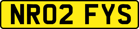 NR02FYS