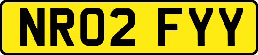 NR02FYY