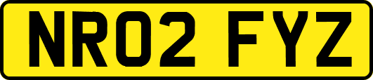 NR02FYZ