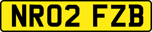 NR02FZB