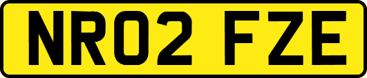 NR02FZE