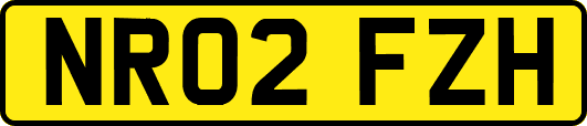 NR02FZH