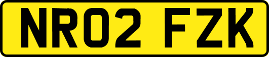 NR02FZK