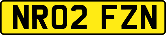 NR02FZN