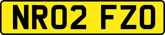 NR02FZO
