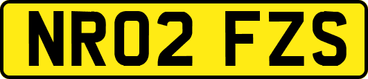 NR02FZS