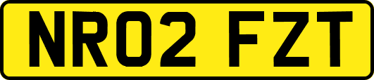 NR02FZT