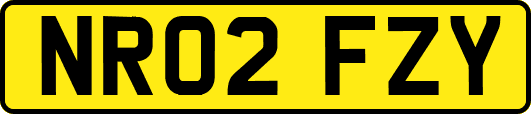 NR02FZY