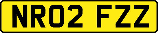 NR02FZZ