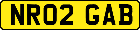 NR02GAB