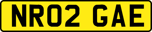 NR02GAE