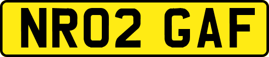 NR02GAF
