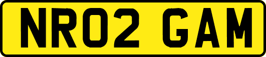 NR02GAM