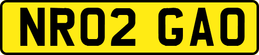 NR02GAO