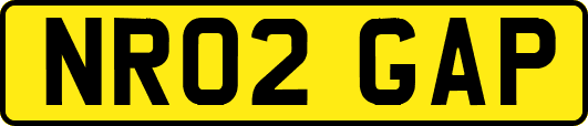 NR02GAP