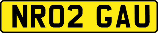 NR02GAU