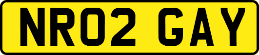 NR02GAY